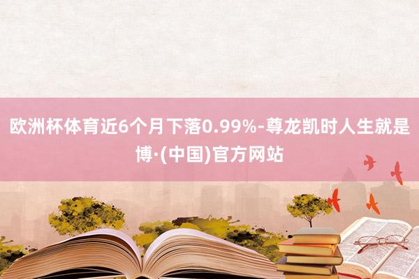 欧洲杯体育近6个月下落0.99%-尊龙凯时人生就是博·(中国)官方网站