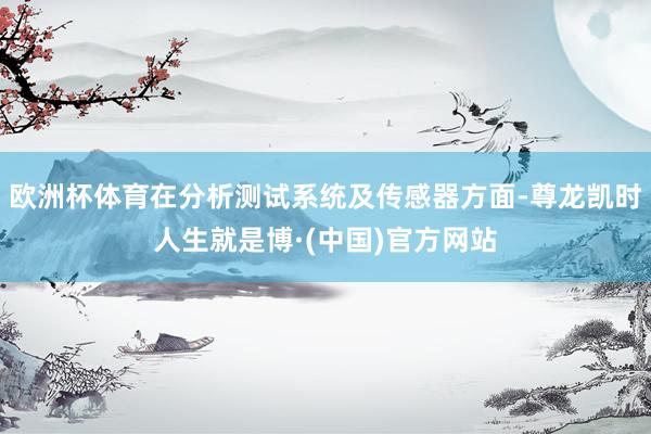 欧洲杯体育在分析测试系统及传感器方面-尊龙凯时人生就是博·(中国)官方网站