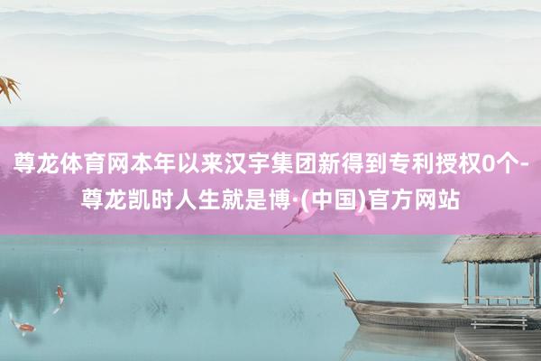 尊龙体育网本年以来汉宇集团新得到专利授权0个-尊龙凯时人生就是博·(中国)官方网站