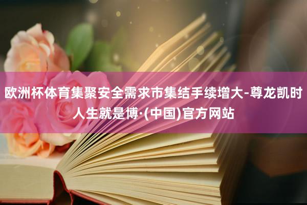欧洲杯体育集聚安全需求市集结手续增大-尊龙凯时人生就是博·(中国)官方网站