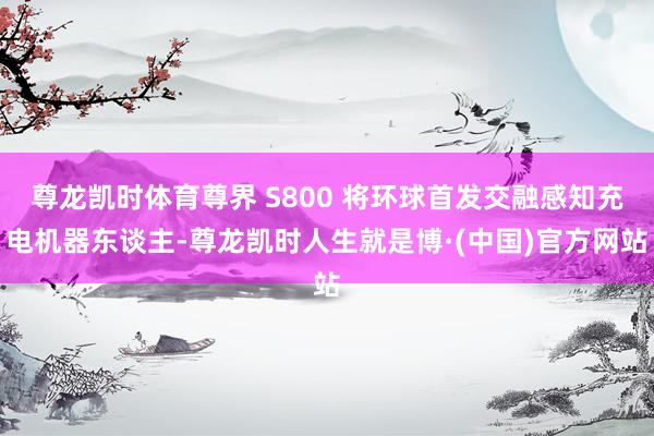 尊龙凯时体育尊界 S800 将环球首发交融感知充电机器东谈主-尊龙凯时人生就是博·(中国)官方网站