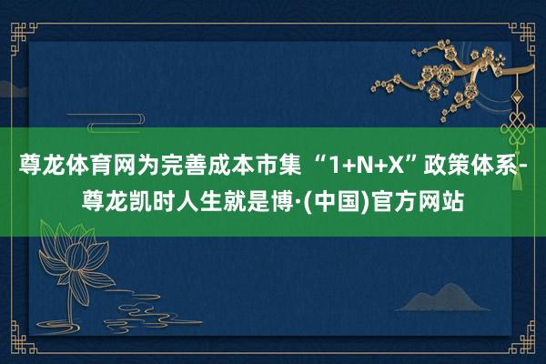 尊龙体育网为完善成本市集 “1+N+X”政策体系-尊龙凯时人生就是博·(中国)官方网站