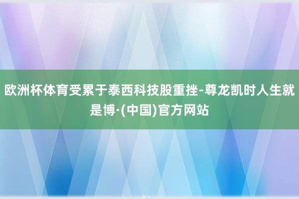 欧洲杯体育受累于泰西科技股重挫-尊龙凯时人生就是博·(中国)官方网站