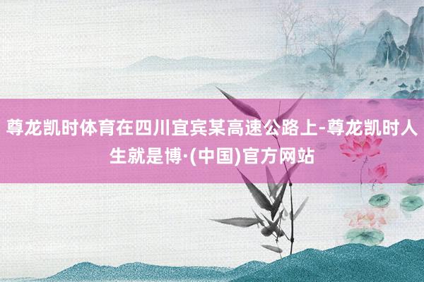尊龙凯时体育在四川宜宾某高速公路上-尊龙凯时人生就是博·(中国)官方网站