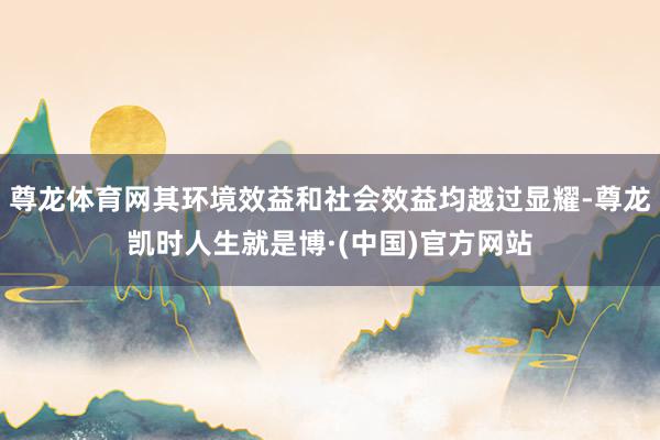 尊龙体育网其环境效益和社会效益均越过显耀-尊龙凯时人生就是博·(中国)官方网站