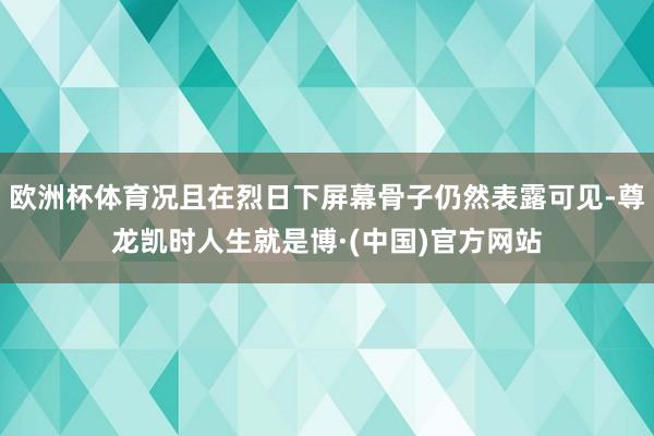 欧洲杯体育况且在烈日下屏幕骨子仍然表露可见-尊龙凯时人生就是博·(中国)官方网站