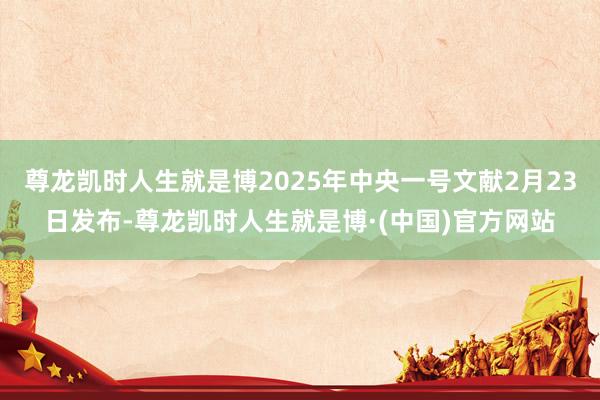 尊龙凯时人生就是博2025年中央一号文献2月23日发布-尊龙凯时人生就是博·(中国)官方网站