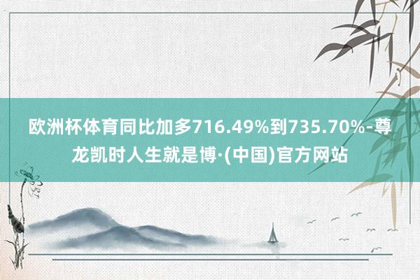 欧洲杯体育同比加多716.49%到735.70%-尊龙凯时人生就是博·(中国)官方网站