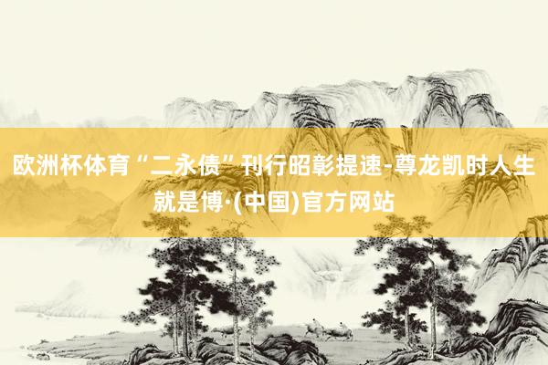 欧洲杯体育“二永债”刊行昭彰提速-尊龙凯时人生就是博·(中国)官方网站