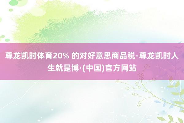 尊龙凯时体育20% 的对好意思商品税-尊龙凯时人生就是博·(中国)官方网站