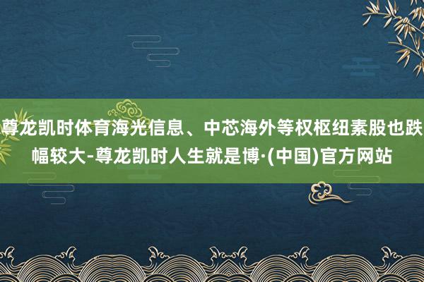 尊龙凯时体育海光信息、中芯海外等权枢纽素股也跌幅较大-尊龙凯时人生就是博·(中国)官方网站