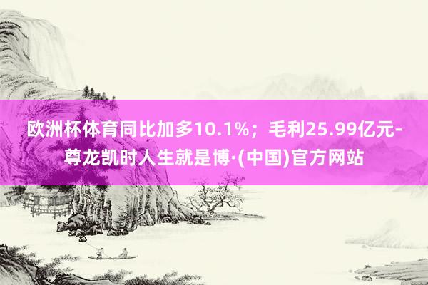 欧洲杯体育同比加多10.1%；毛利25.99亿元-尊龙凯时人生就是博·(中国)官方网站