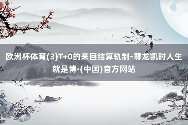 欧洲杯体育(3)T+0的来回结算轨制-尊龙凯时人生就是博·(中国)官方网站