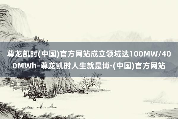 尊龙凯时(中国)官方网站成立领域达100MW/400MWh-尊龙凯时人生就是博·(中国)官方网站