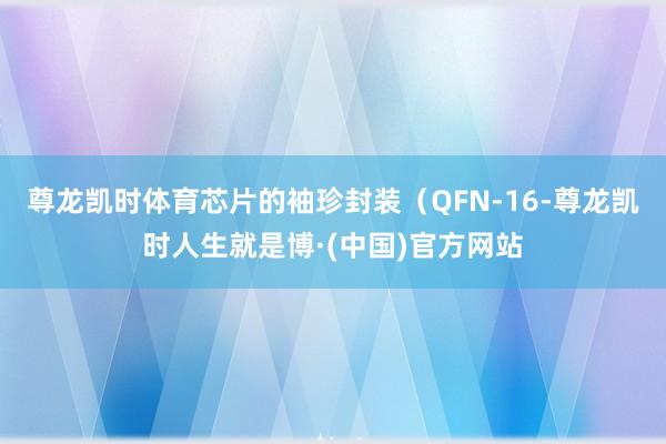 尊龙凯时体育芯片的袖珍封装(QFN-16-尊龙凯时人生就是博·(中国)官方网站