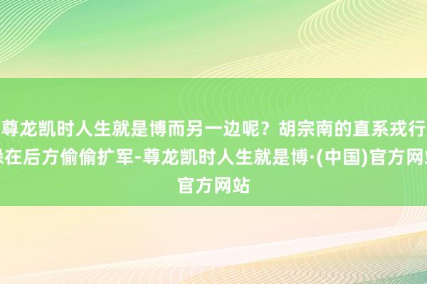 尊龙凯时人生就是博而另一边呢？胡宗南的直系戎行躲在后方偷偷扩军-尊龙凯时人生就是博·(中国)官方网站