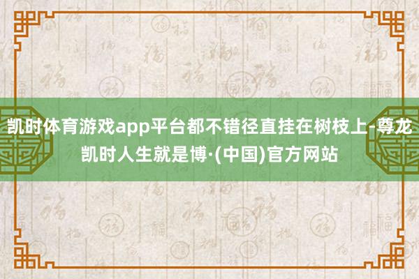 凯时体育游戏app平台都不错径直挂在树枝上-尊龙凯时人生就是博·(中国)官方网站