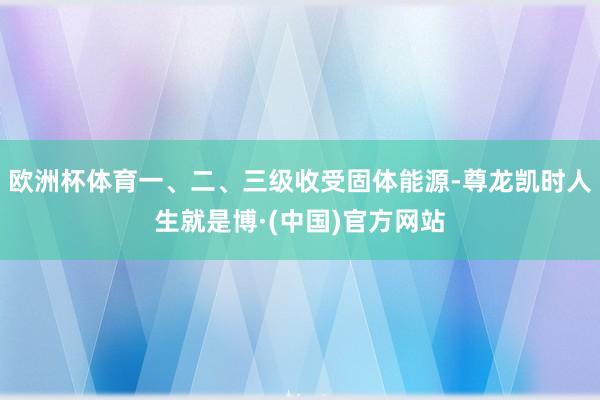 欧洲杯体育一、二、三级收受固体能源-尊龙凯时人生就是博·(中国)官方网站