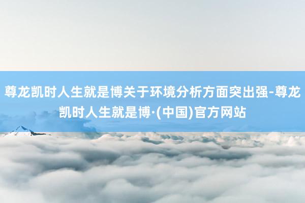 尊龙凯时人生就是博关于环境分析方面突出强-尊龙凯时人生就是博·(中国)官方网站